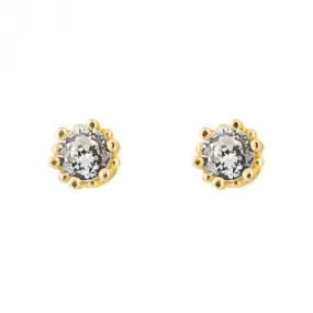 Gold Plated Zirconia Stud Earrings E6272C