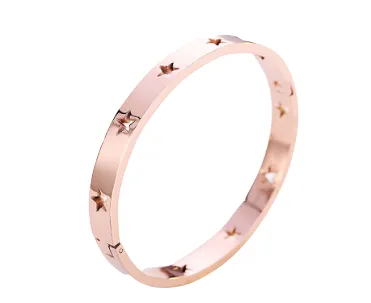 Star Struck Stainless Bangle