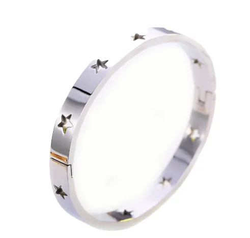 Star Struck Stainless Bangle